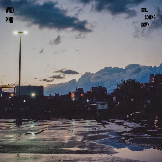 Still Coming Down by Wild Pink