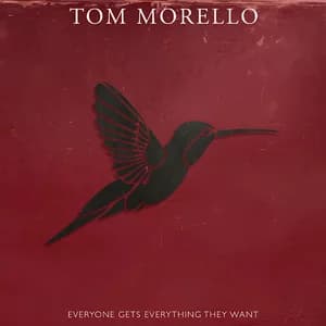 Everyone Gets Everything They Want by Tom Morello