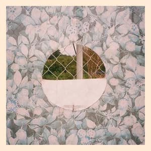 In A Split Mirror by Stephen Steinbrink